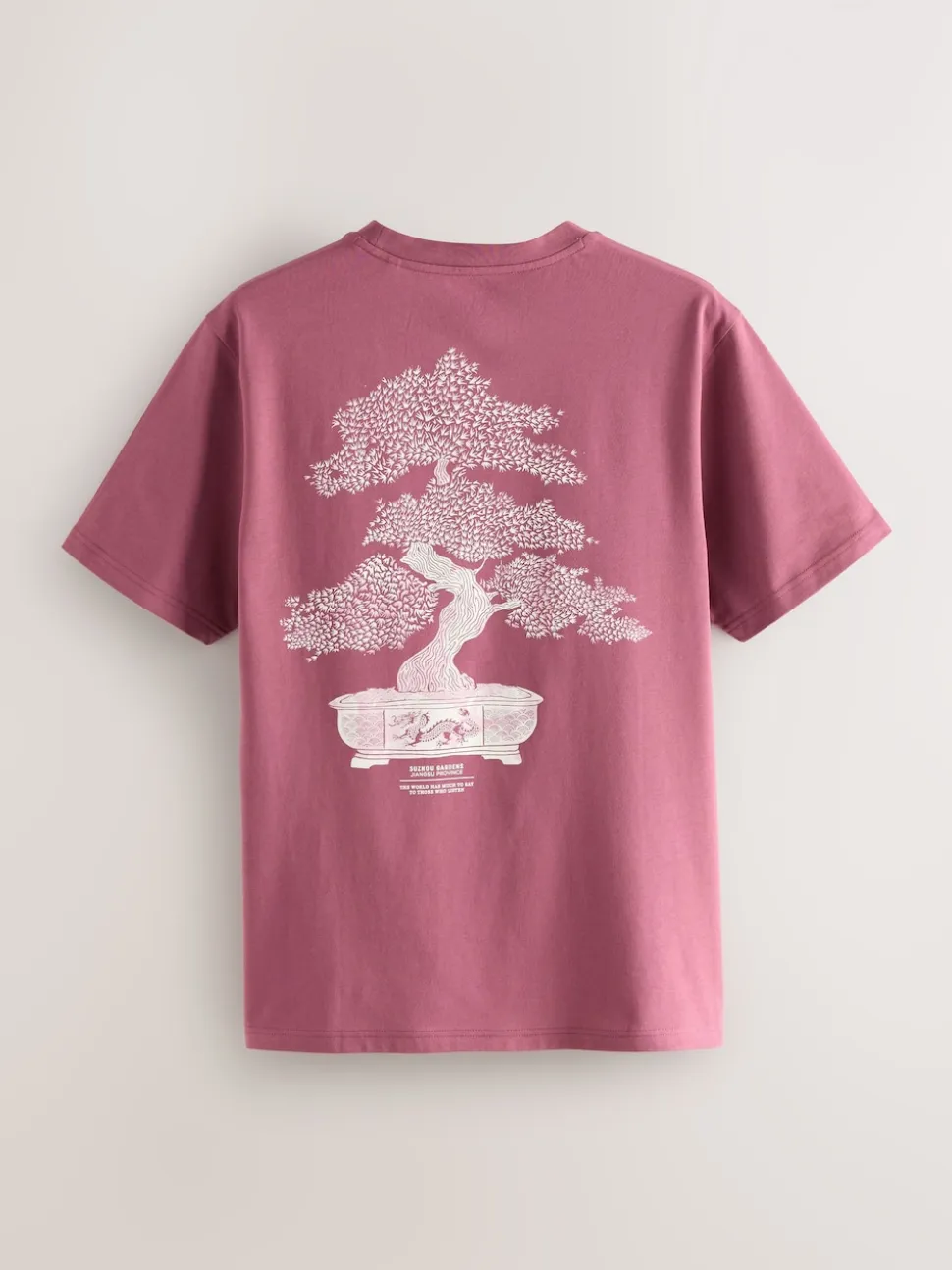 Bleu/Vert/Rose - Ajustement régulier - T-shirt Graphic Imprimé 3 Pack