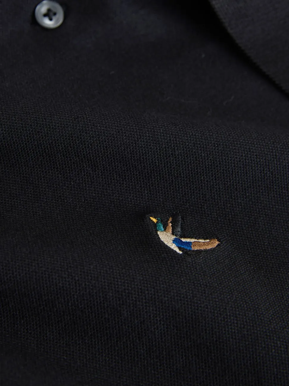 Canard noir - Polo Manches courtes Pique