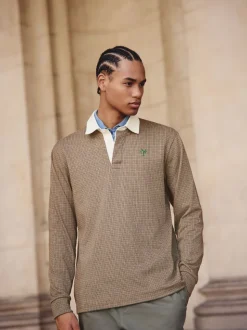 Dent de chiot brun fauve - Maillot de rugby