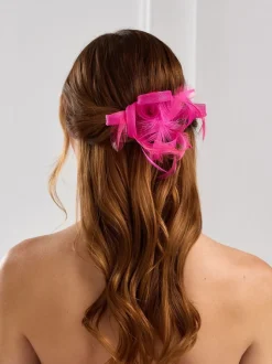 fuchsia - Petit fascinateur Jon Richard