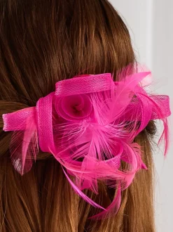 fuchsia - Petit fascinateur Jon Richard