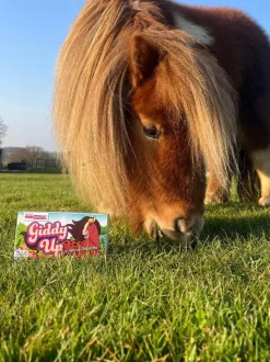 Lot de 6 paires de chaussettes United Odd Socks Giddy Up fille