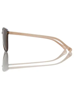Marron écaille de tortue - Ted Baker Lunettes de soleil classiques pour les yeux ronds