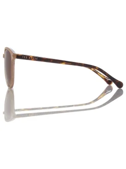 Marron chameau/écaille de tortue - Ted Baker Lunettes de soleil classiques pour les yeux ronds