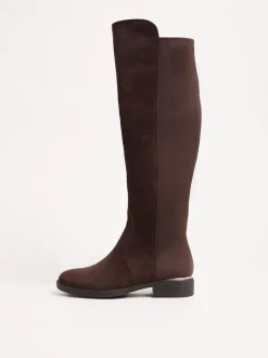 Marron chocolat - Lipsy Bottes décontractées élastiques en faux daim