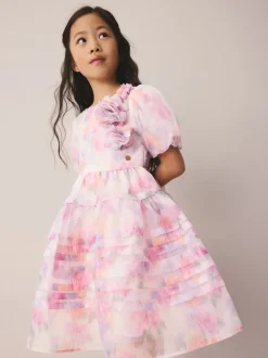 Roses de jardin roses flous - Robe Laura Ashley Corsage en organza à plis nervurés