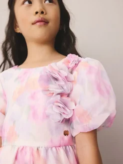 Roses de jardin roses flous - Robe Laura Ashley Corsage en organza à plis nervurés