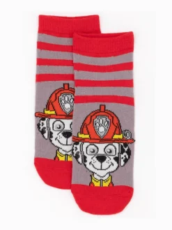 Vanilla Underground Paw Patrol Multicoloured Boys Multi-Character Face Graphic Calf Socks Set of 5