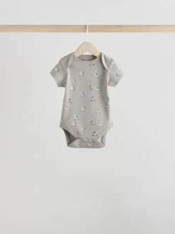 Zèbre gris - Lot de bodys à manches courtes pour bébé 100% coton 5