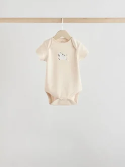 Zèbre gris - Lot de bodys à manches courtes pour bébé 100% coton 5